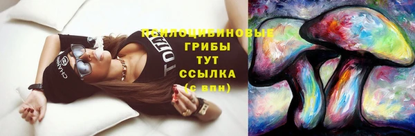 соль курить ск Гусь-Хрустальный