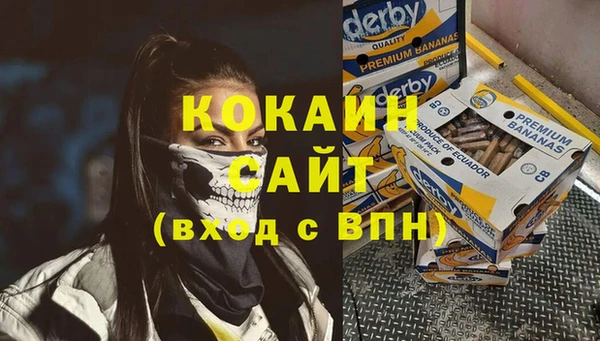 кокс Гусев