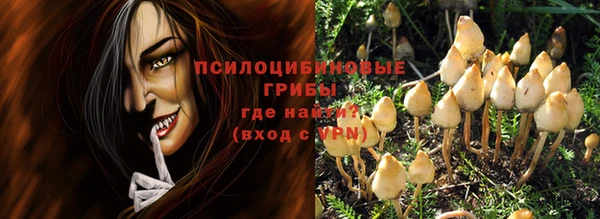 кокс Гусев