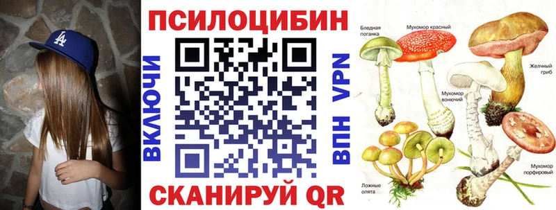 Галлюциногенные грибы Cubensis  Невинномысск 